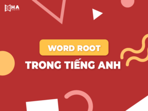Word root trong tiếng Anh và cách học word root hiệu quả