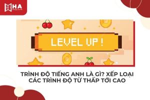 Trình độ tiếng anh là gì? Xếp loại các trình độ tiếng anh từ thấp đến cao