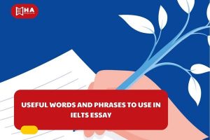 Useful Words and Phrases to use in IELTS Essay